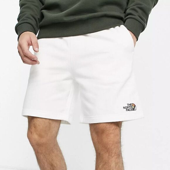 The North Face Mens Sz L Pride Never Stop shorts Drawstring white Unsex - Picture 2 of 9